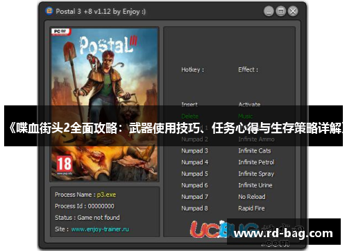《喋血街头2全面攻略：武器使用技巧、任务心得与生存策略详解》